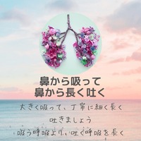 画像372