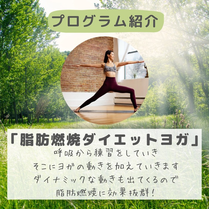画像384
