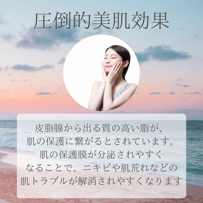 画像433