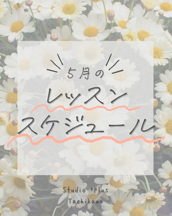 画像447