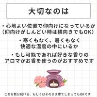 画像527