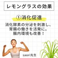 画像566