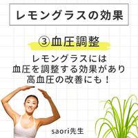 画像568
